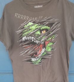 Today’s T-Shirt