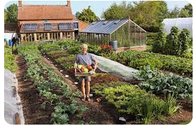 An Introduction to No-Dig Gardening