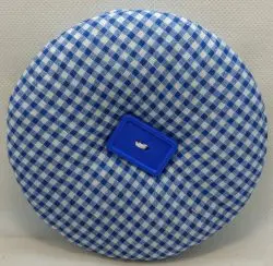 Blue Gingham
