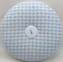 Icy Blue Gingham