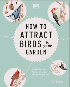 Attracting Birds To Your Garden
